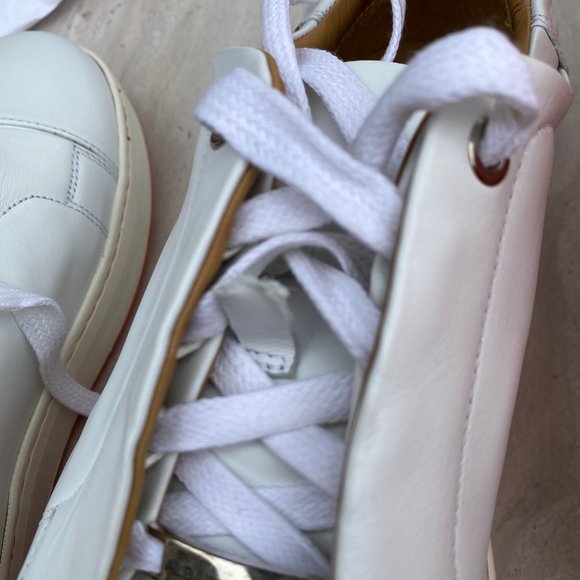 Royal Albartross - Picture 8 of 11